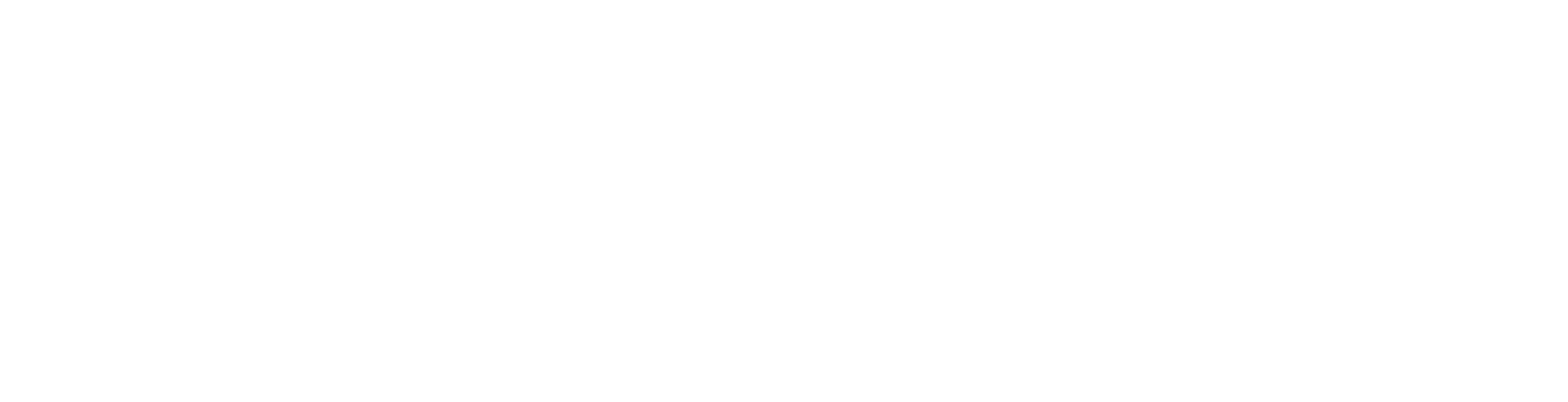 Level Planning